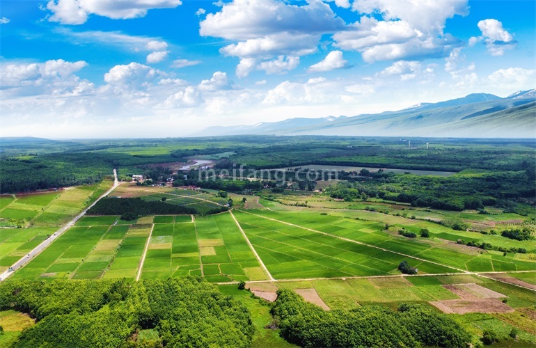 景业白鹭洲万亩良田
