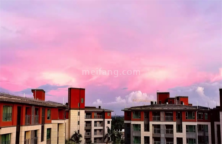 景业白鹭洲实景图