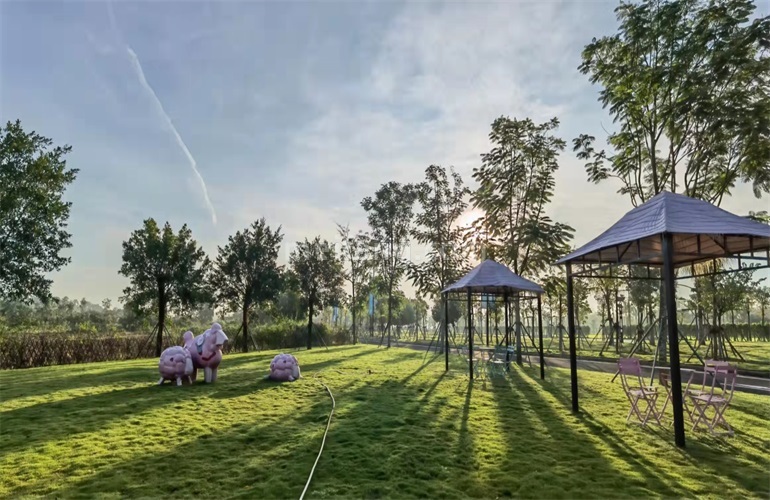 景业白鹭洲农场实景图