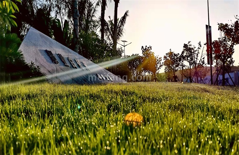 景业白鹭洲体育公园景观