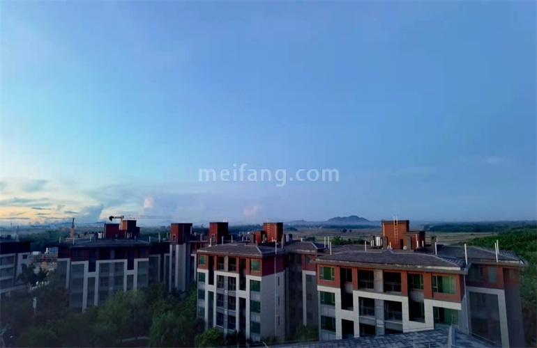 景业白鹭洲实景图