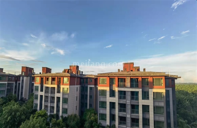 景业白鹭洲实景图