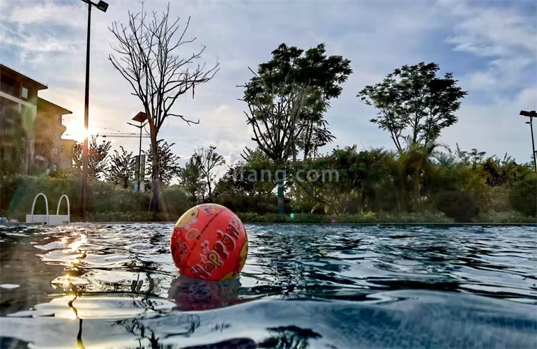 景业白鹭洲实景图