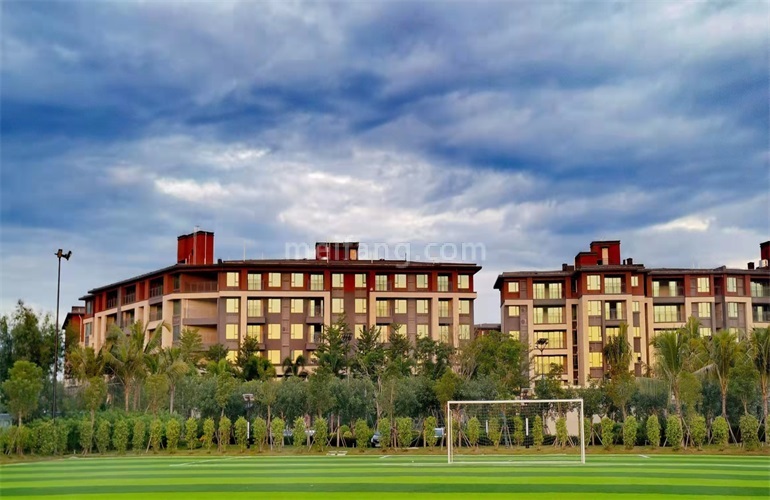 景业白鹭洲体育公园景观