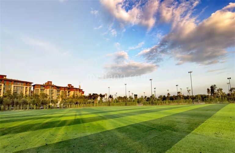 景业白鹭洲体育公园景观