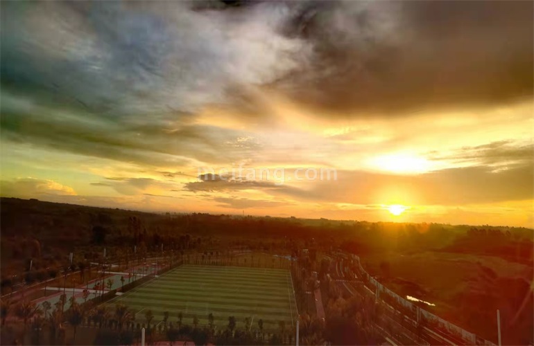 景业白鹭洲实景图