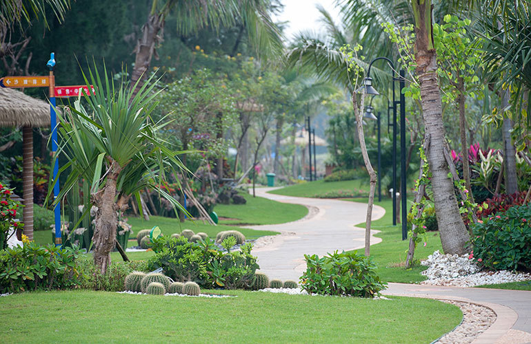 碧桂园金沙滩 酒店园林