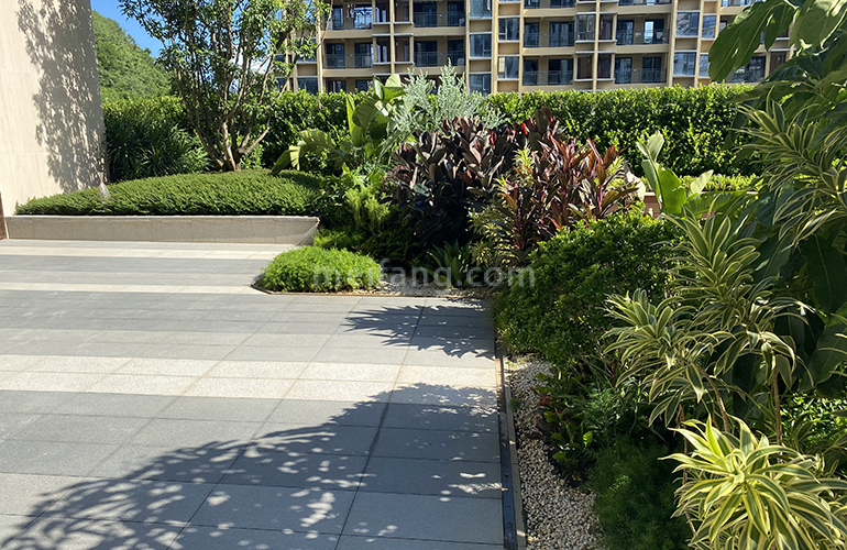 佳兆业海棠伴山实景图