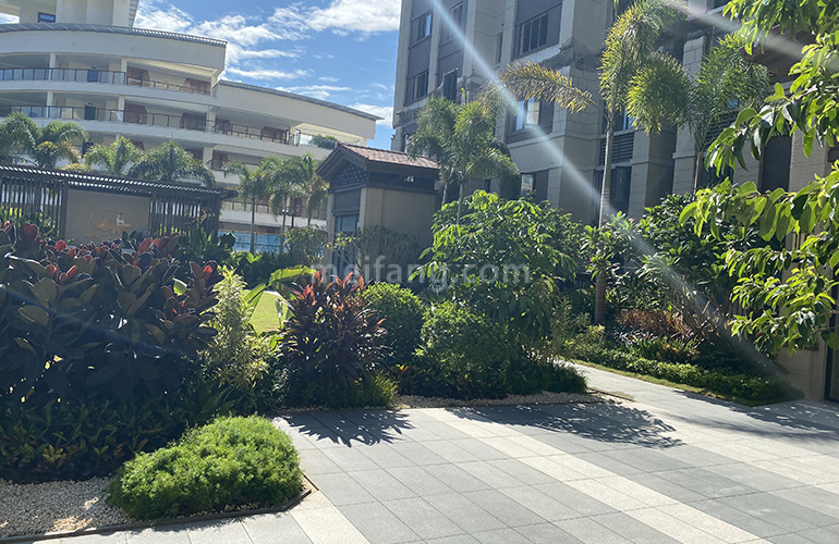 佳兆业海棠伴山实景图