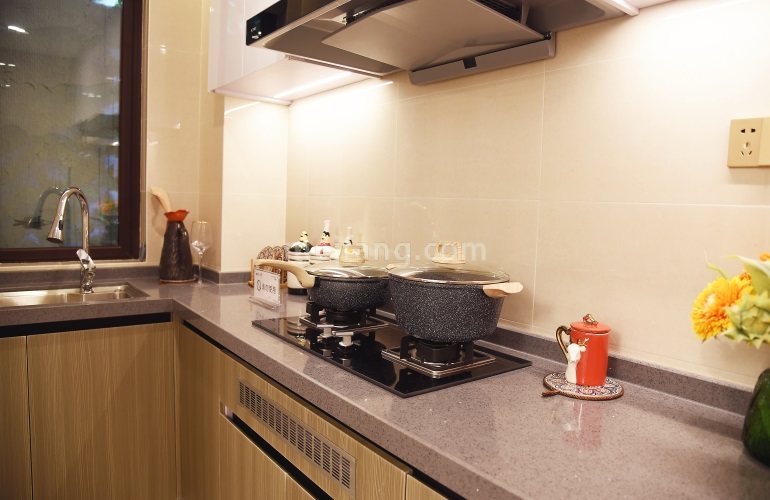 雅居乐江东紫航一号B户型-厨房