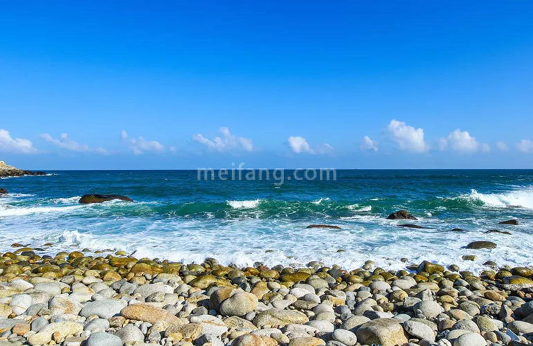海唐乐未央大花角