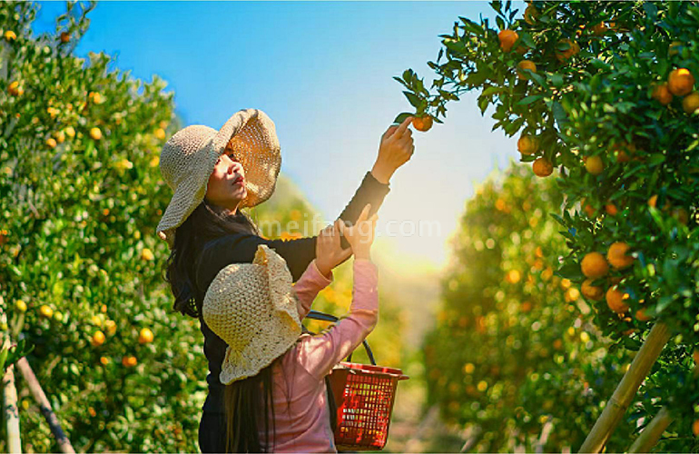 巧克力小镇效果图