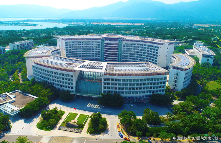 天使海棠明悦解放军301医院海南分院