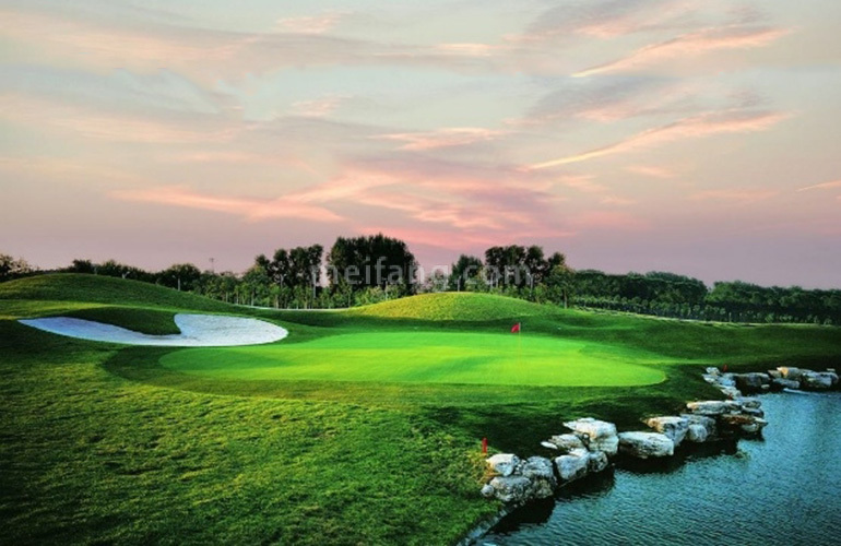 天茂领航湾金湾高尔夫