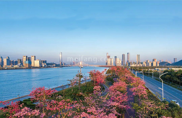 华润置地广场花海长廊