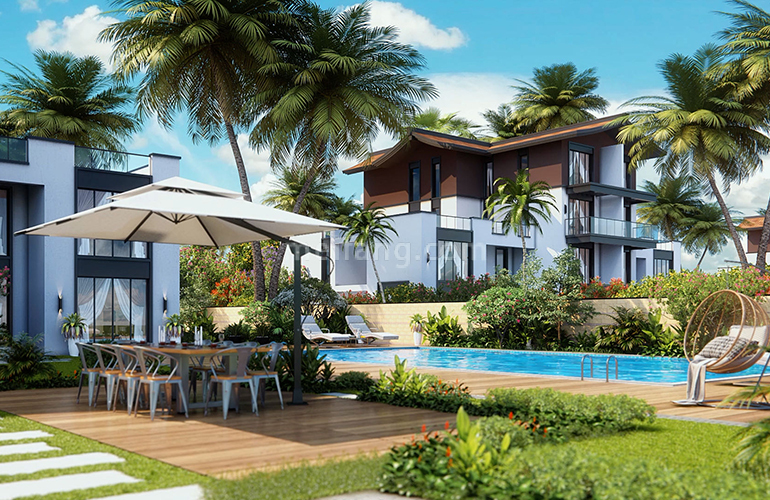 天使海棠明悦效果图