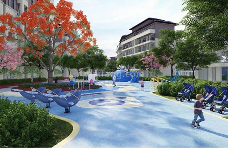 天使海棠明悦效果图