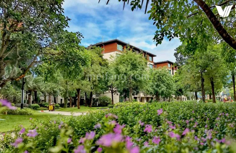 景业白鹭洲实景图