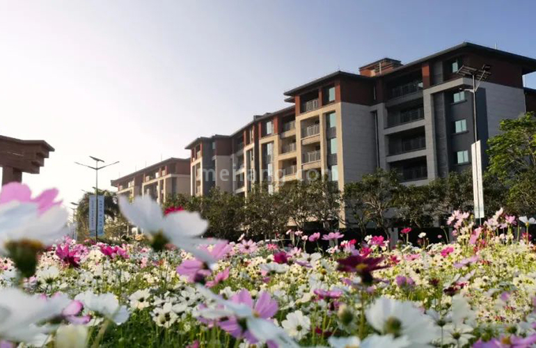 景业白鹭洲实景图