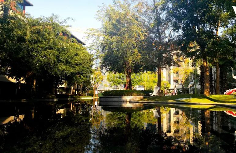 景业白鹭洲实景图