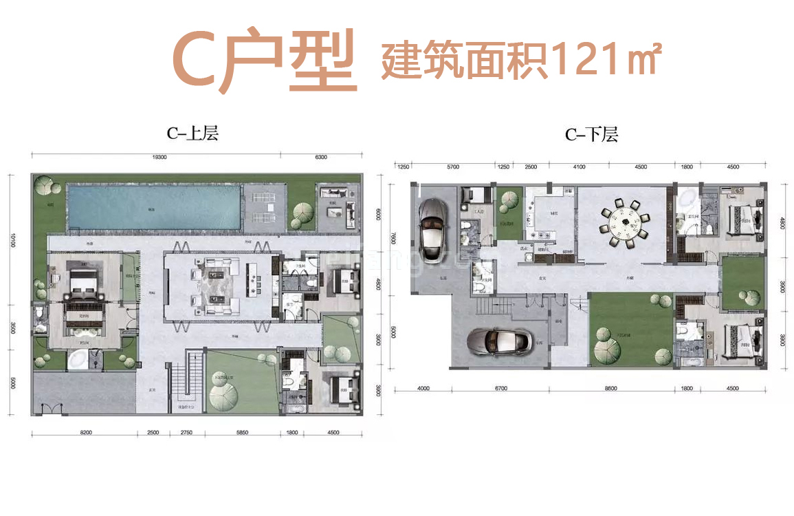独栋 C户型 5+1房5花园 建面121㎡