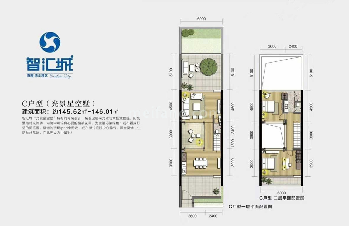 独栋 C户型 建筑面积145㎡-146㎡