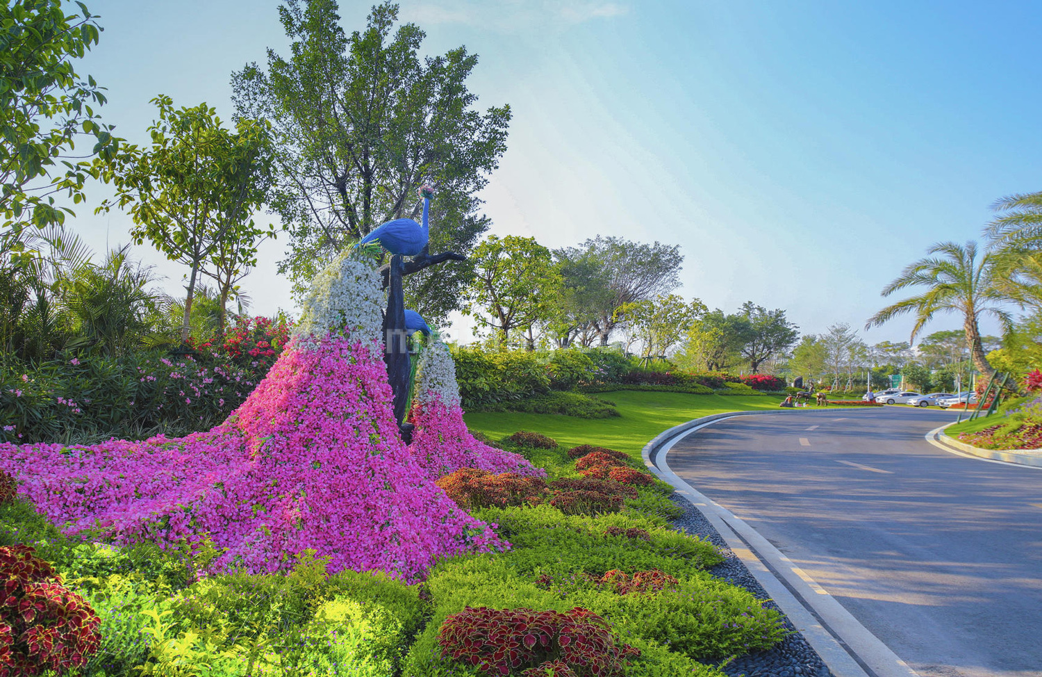 碧桂园海棠盛世