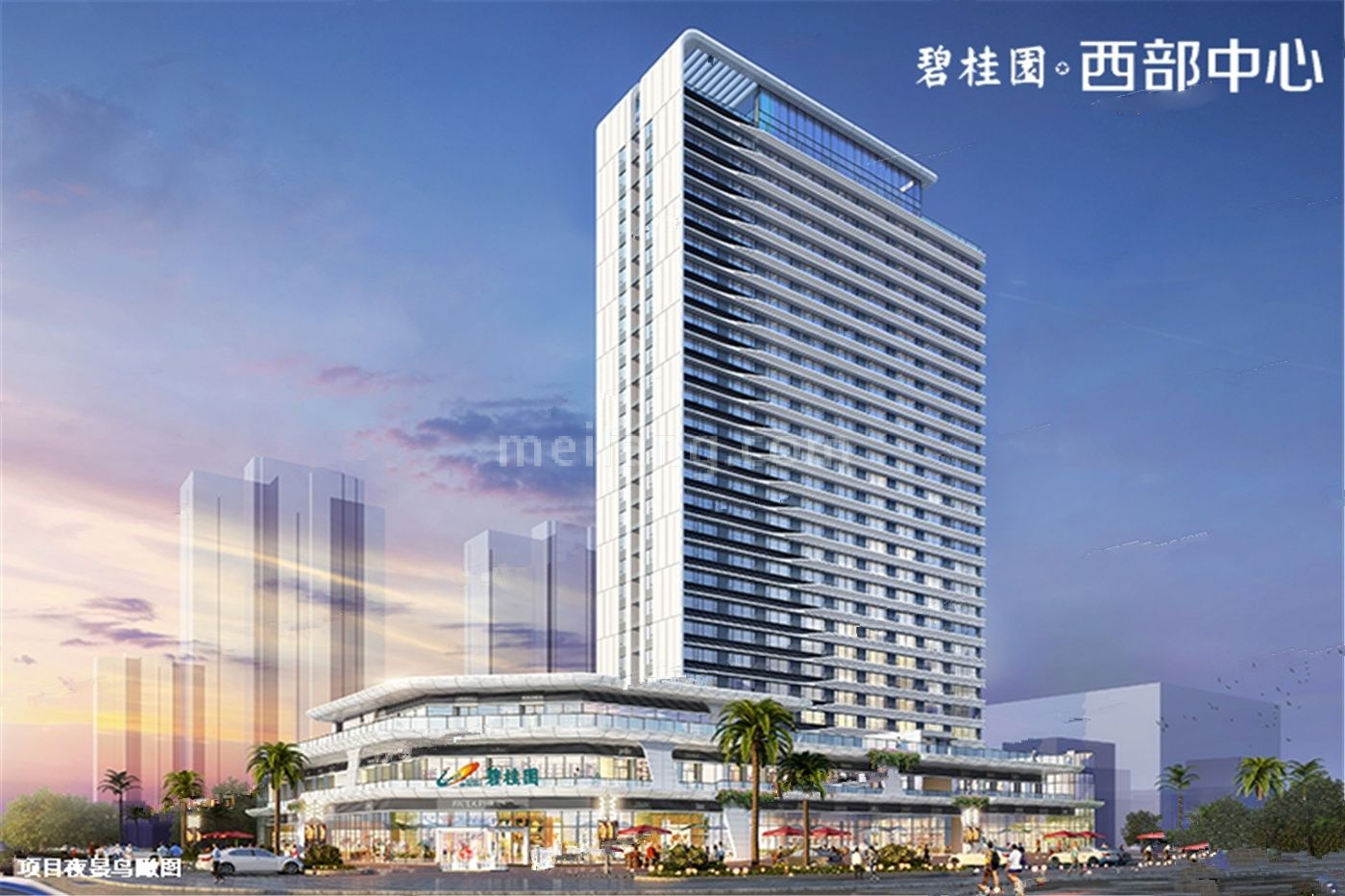 碧桂园西部中心