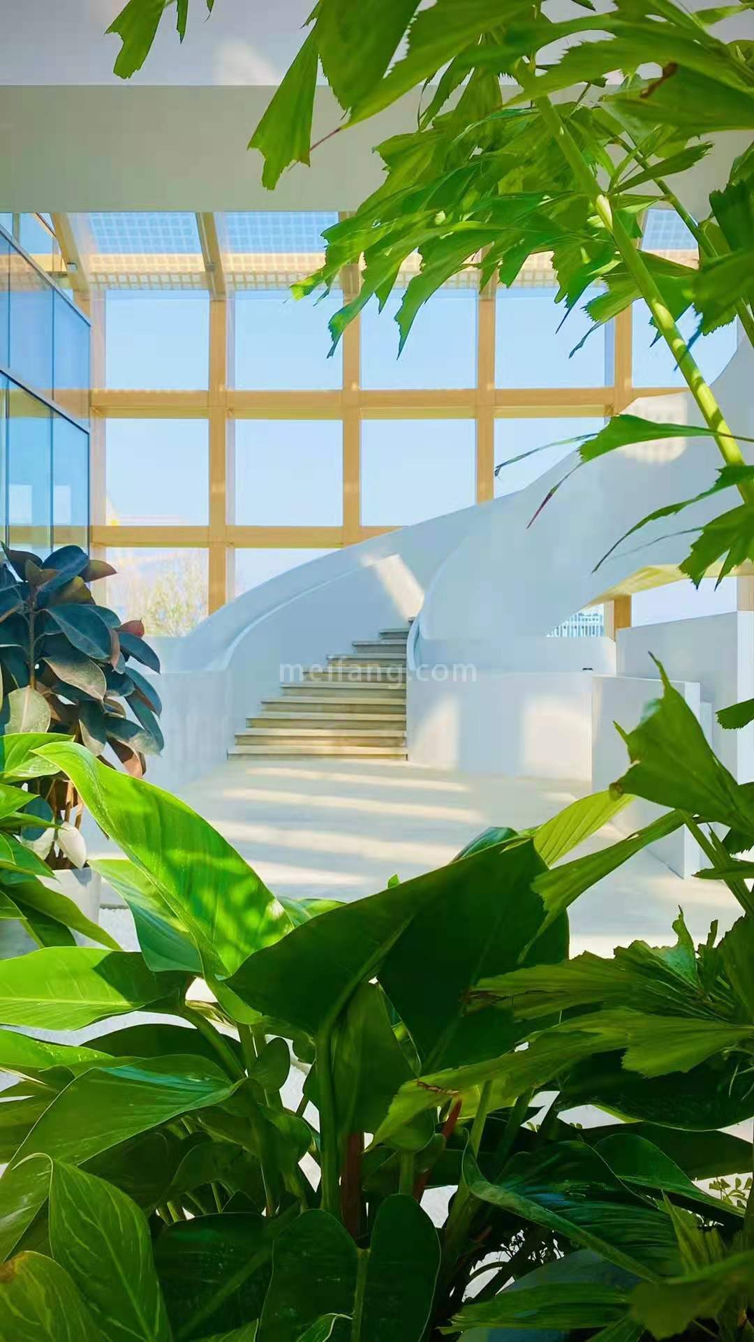 金茂湾