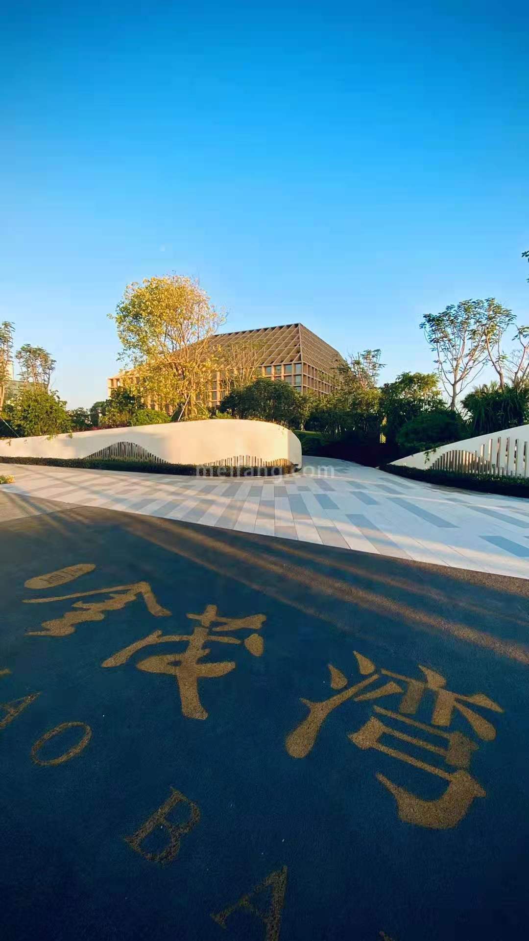 金茂湾