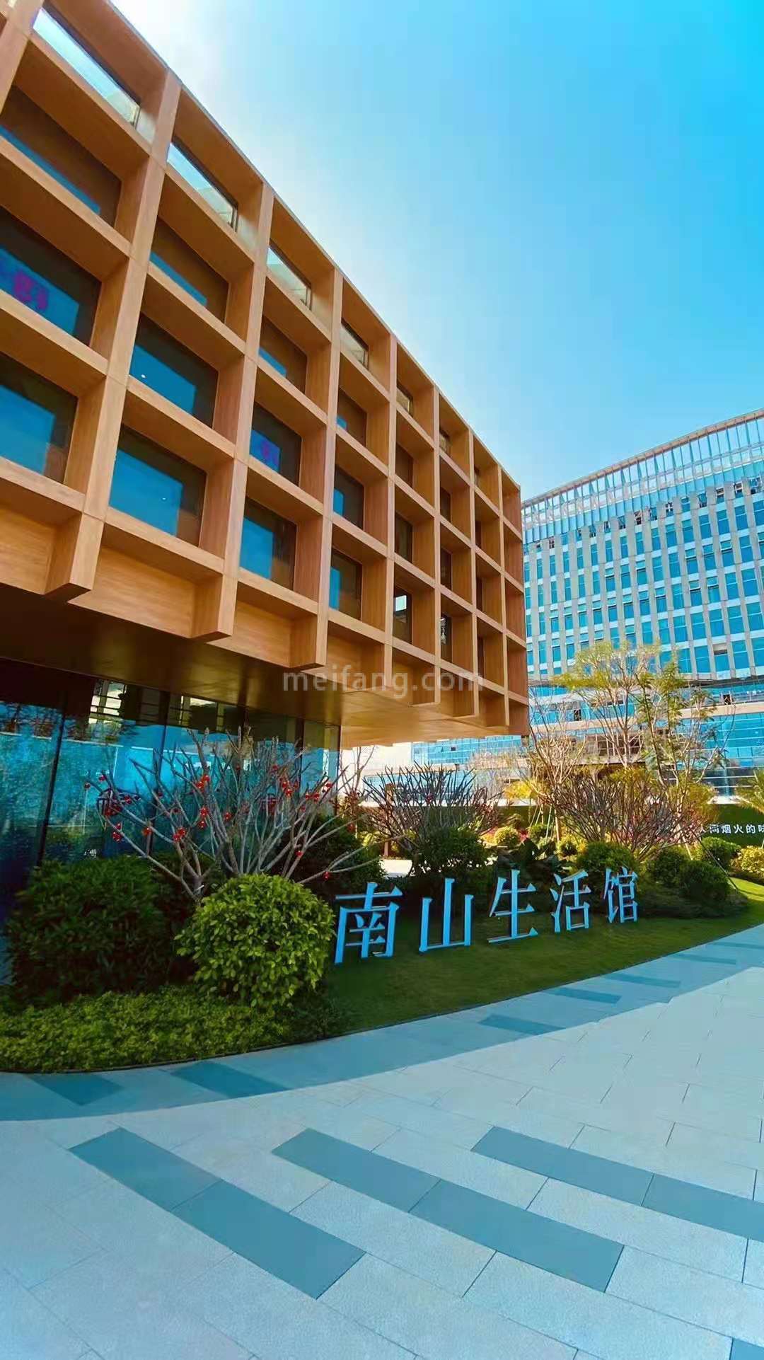 金茂湾