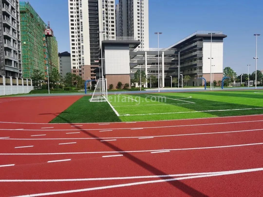 万科红树东岸学校