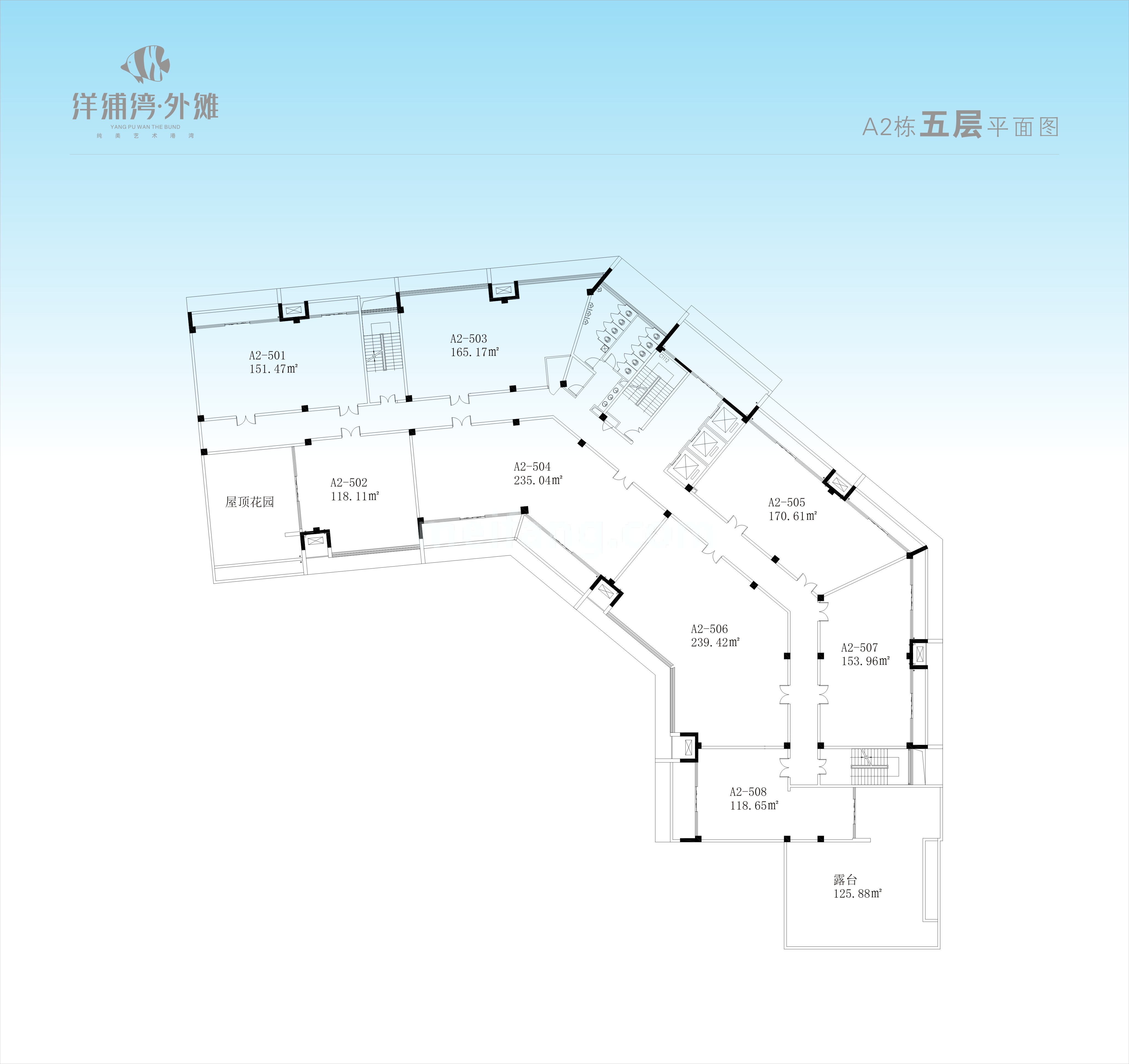 洋浦湾外滩A2栋五层平面图