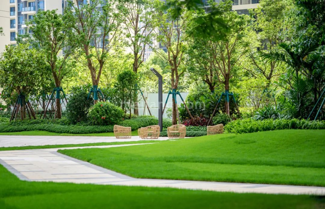 华发碧桂园滨海半岛