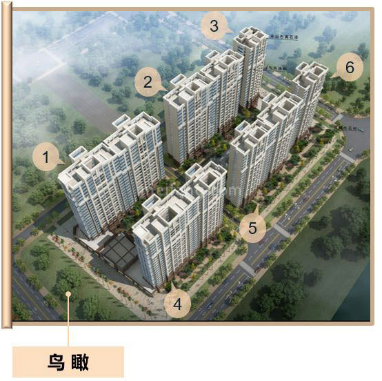 华盛御品