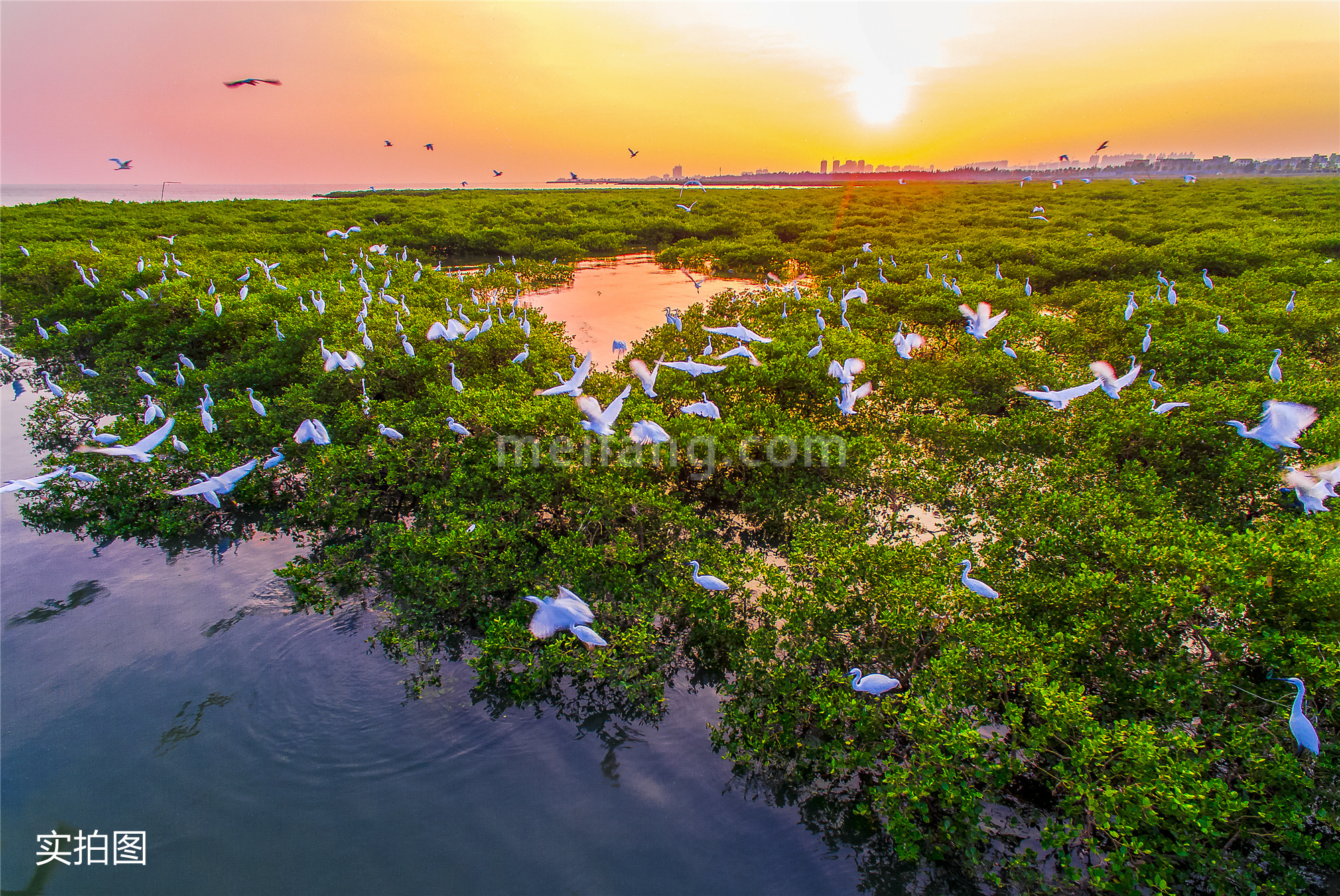 向海金融城铂寓红树林