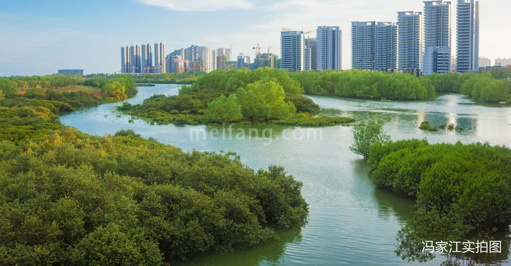 向海金融城萃金里