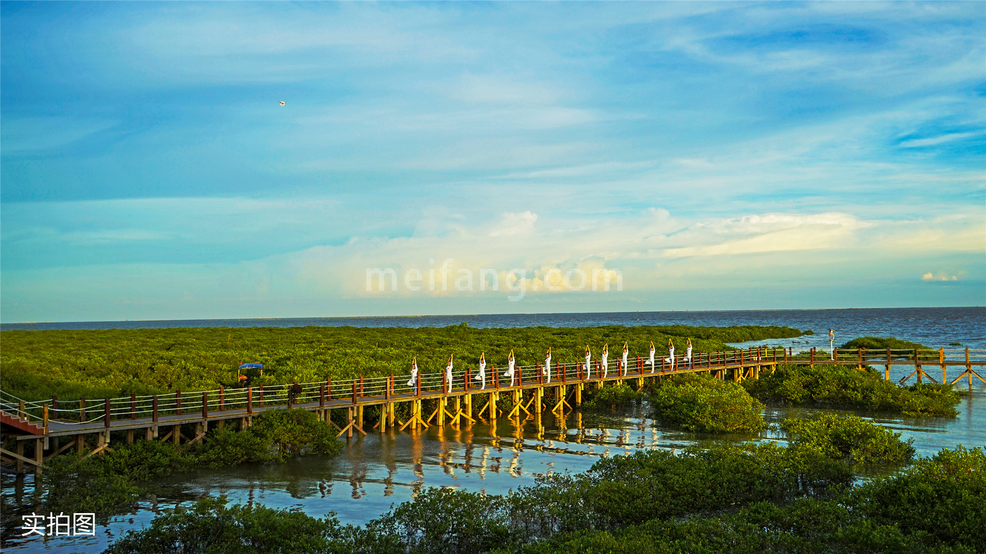 向海金融城铂寓红树林