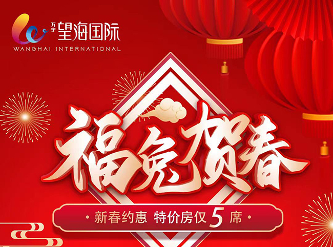 【福兔贺春】万宁望海国际新春特惠，推出5套特惠房源