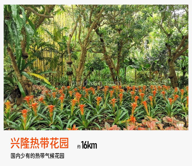 保利半岛一号