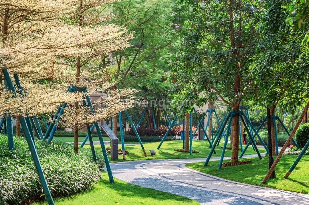 万科海上城市三期