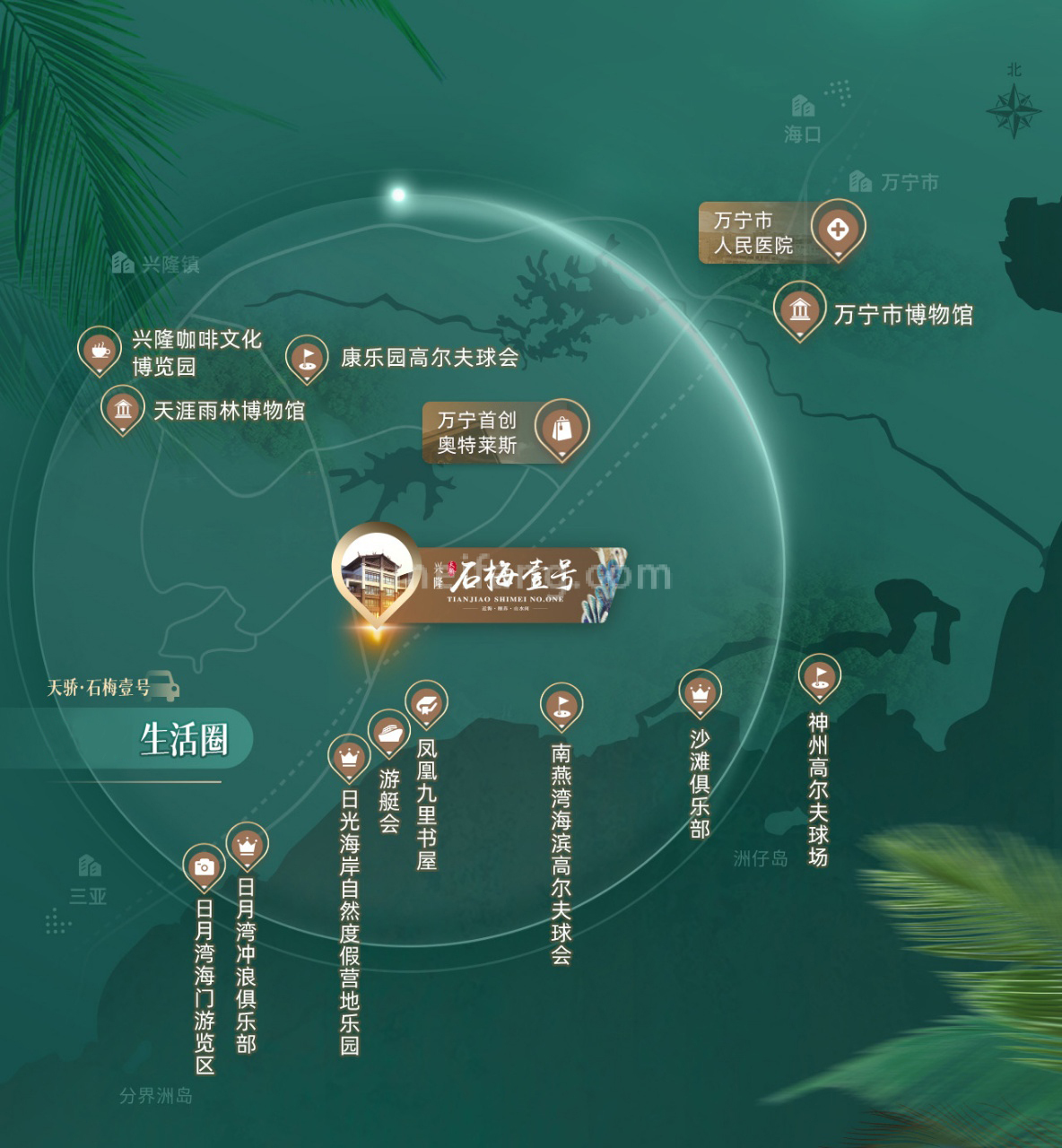 天骄石梅壹号