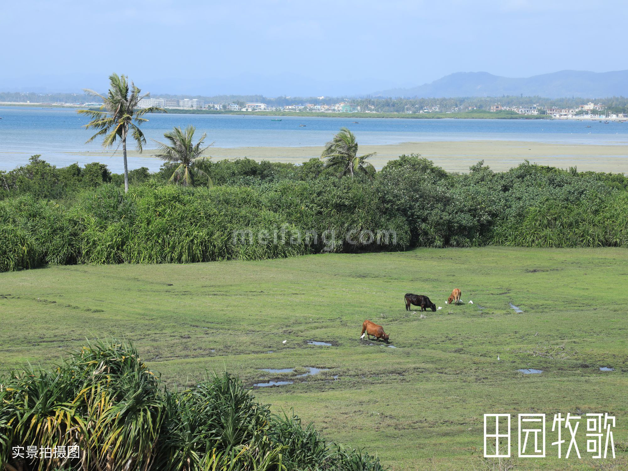 龙光天境海岸