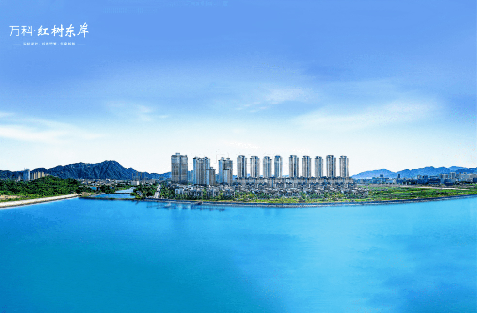 万科红树东岸实景图