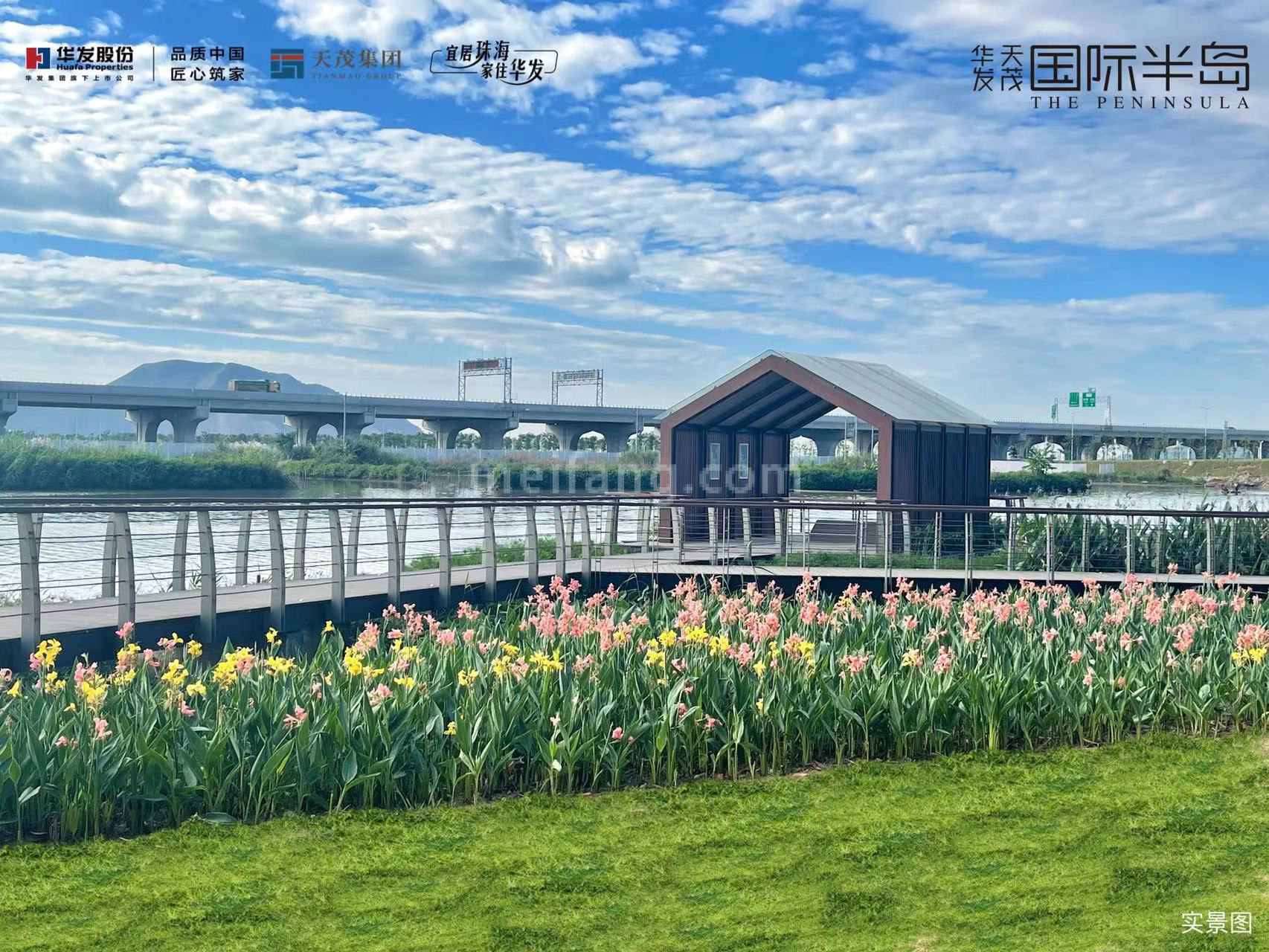 华发天茂国际半岛