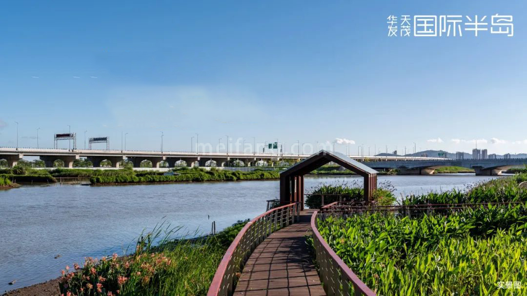 华发天茂国际半岛