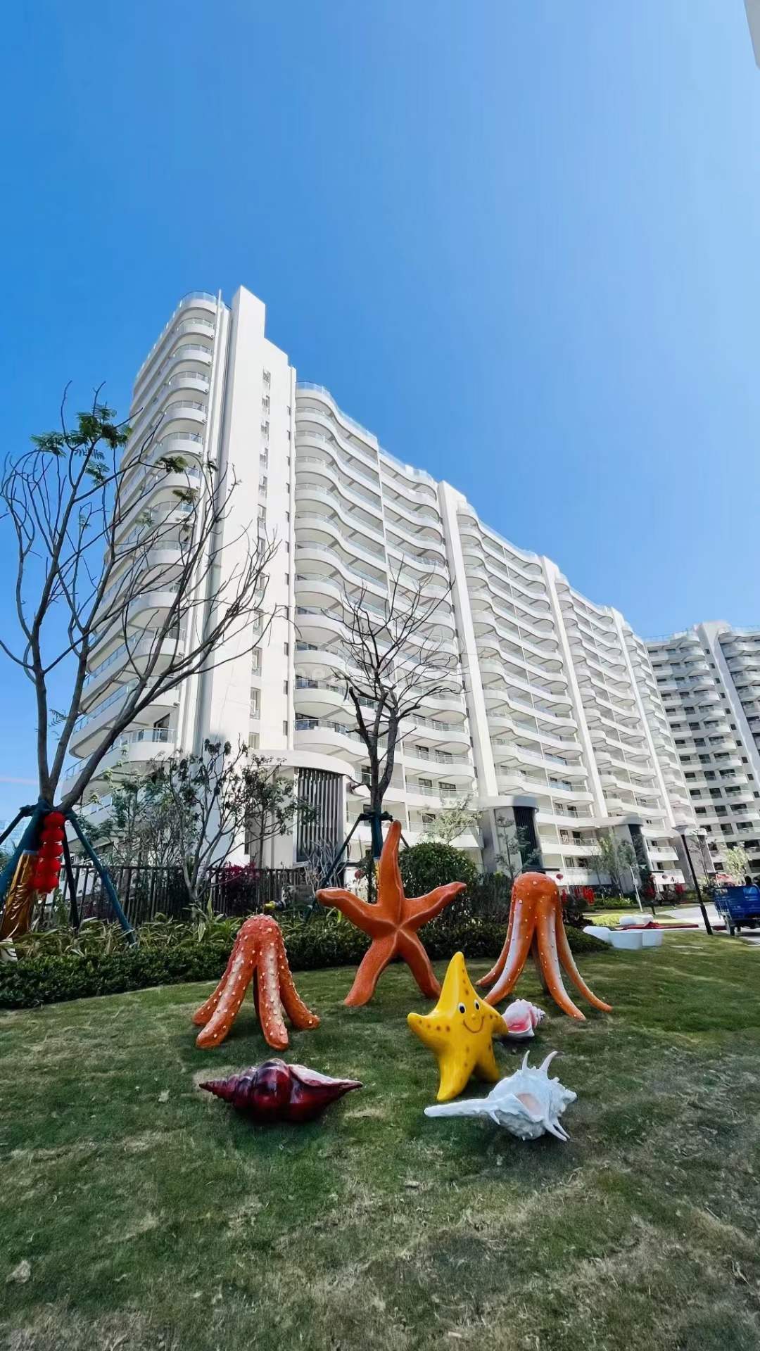 清凤龙栖海岸