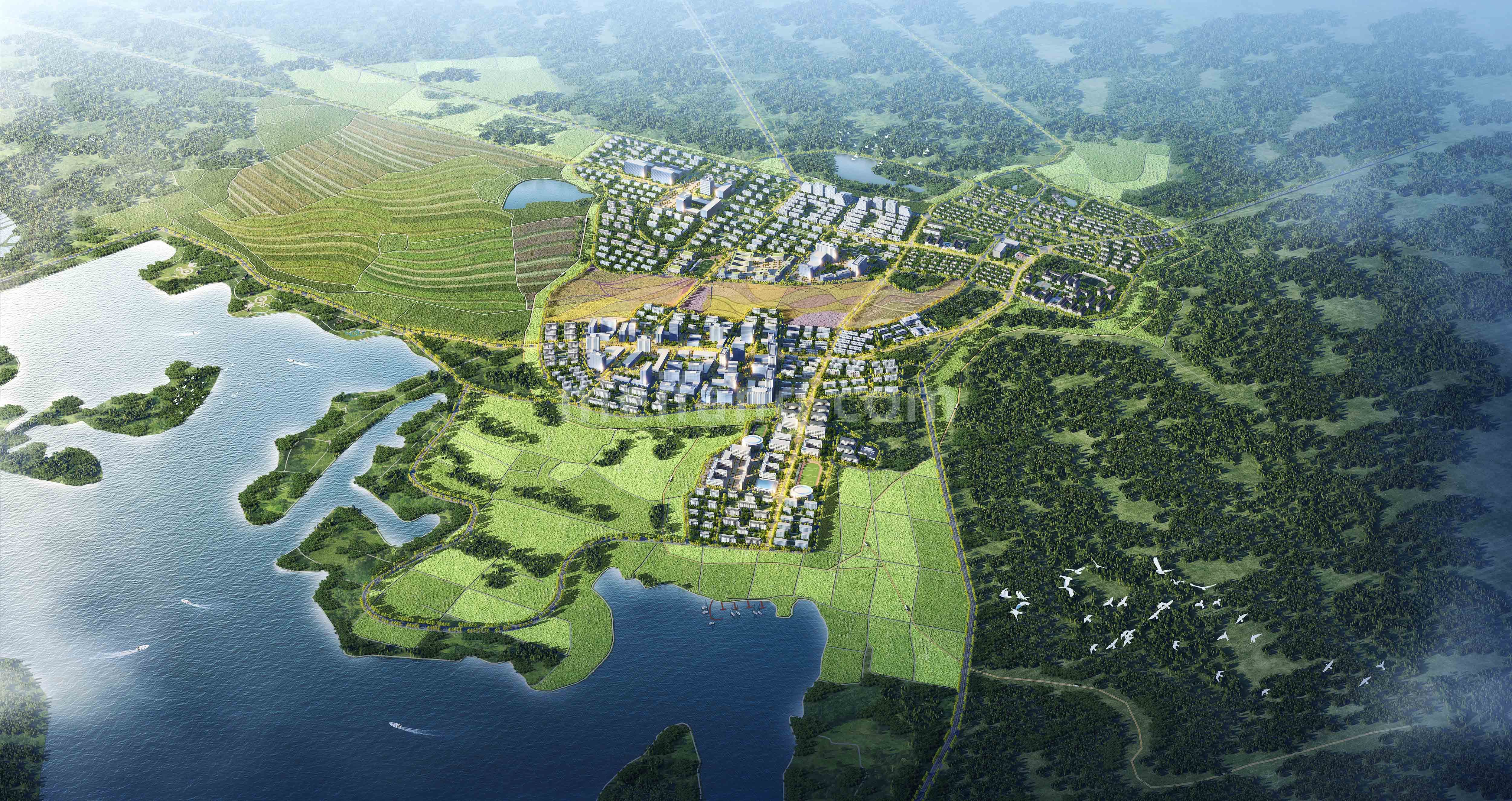 中康国际健康城