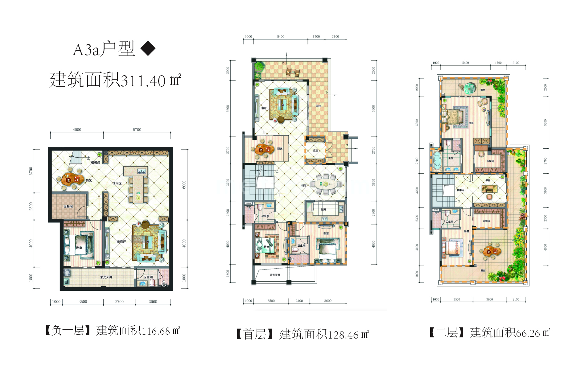 独栋 A3a户型 建面311㎡