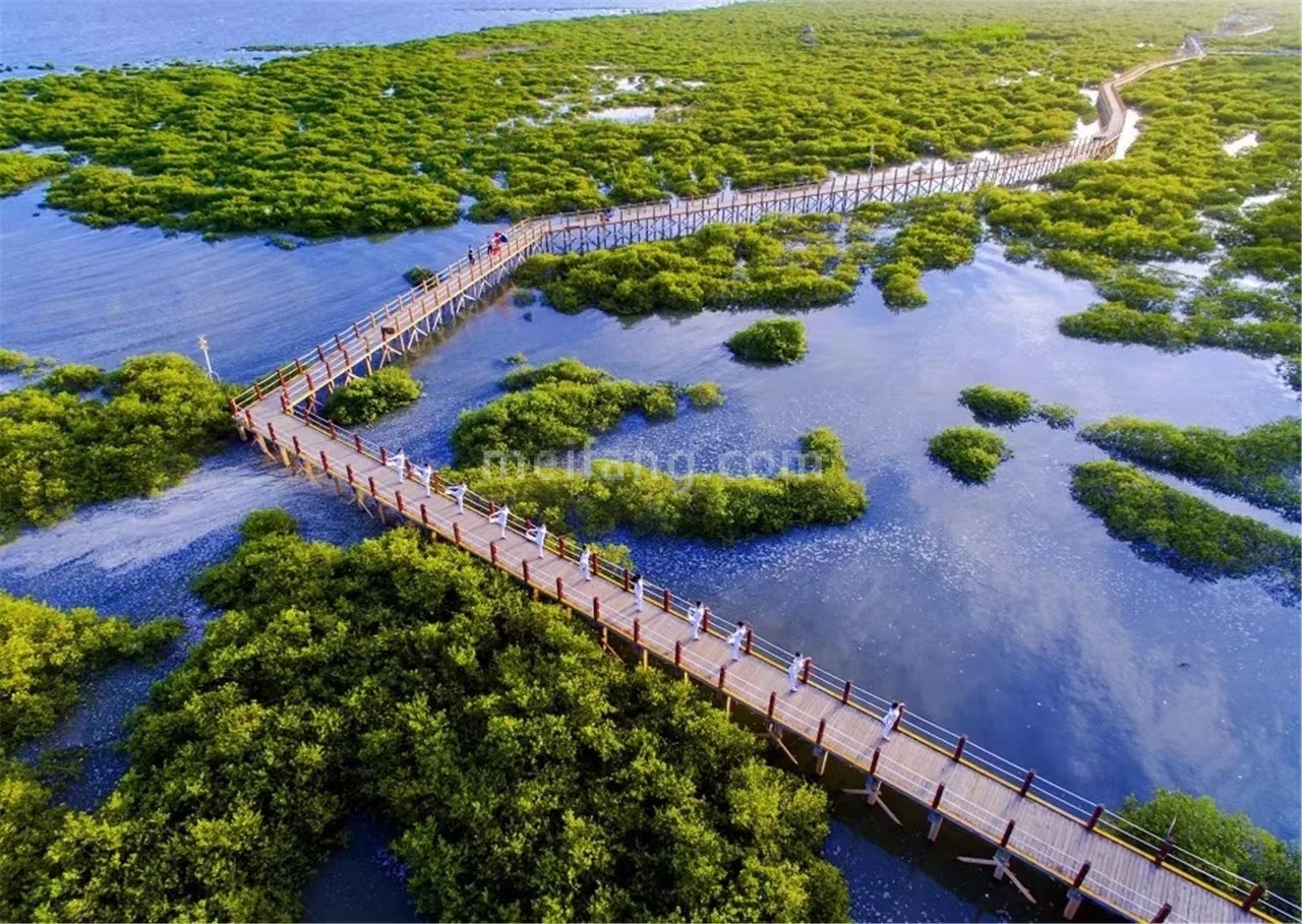 龍胤银滩天际北海红树林